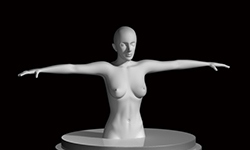 Woman Half Body Figure